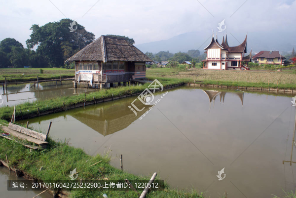 房子和池塘
