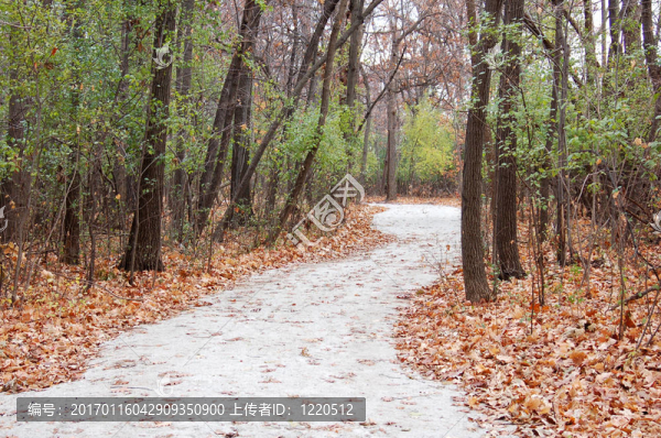 行走的路徑