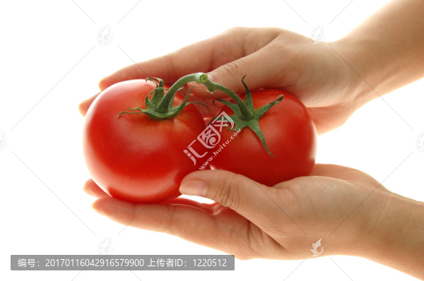 番茄