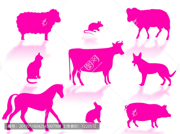 農(nóng)場里的動(dòng)物