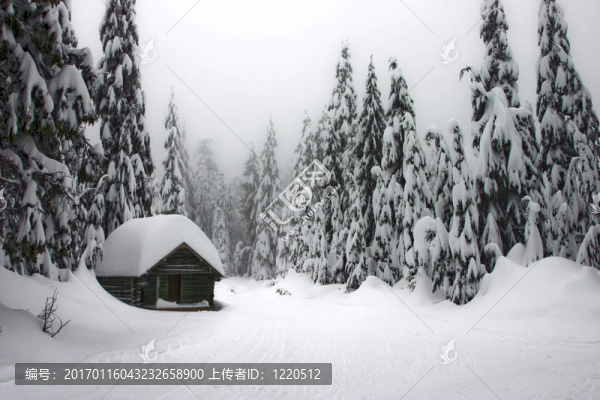 在中間的一間小屋