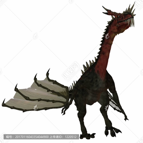夢(mèng)幻龍