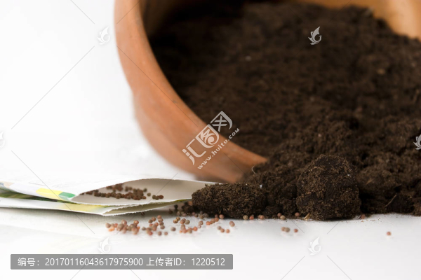 溢出的地球和種子-匯圖網(wǎng) www.fosd68.com 溢出的地球和種子