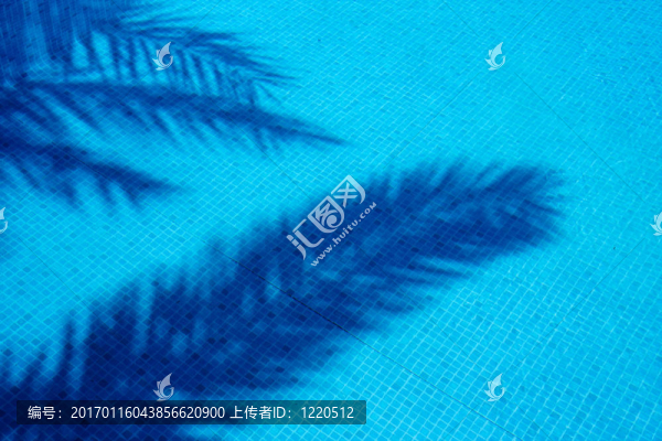 夏天的影子