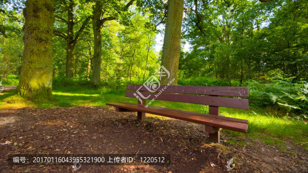 公園的長(zhǎng)椅上