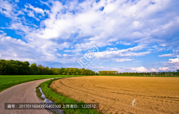 鄉(xiāng)村路