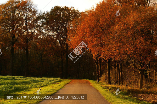 秋季鄉(xiāng)村路