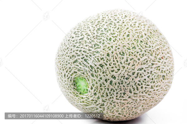 哈密瓜