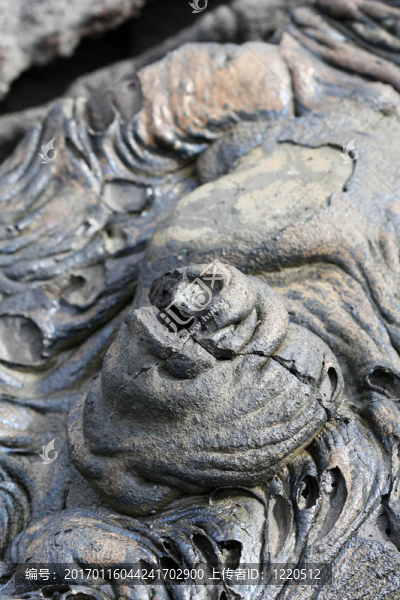 在加拉帕戈斯群島火山的形成