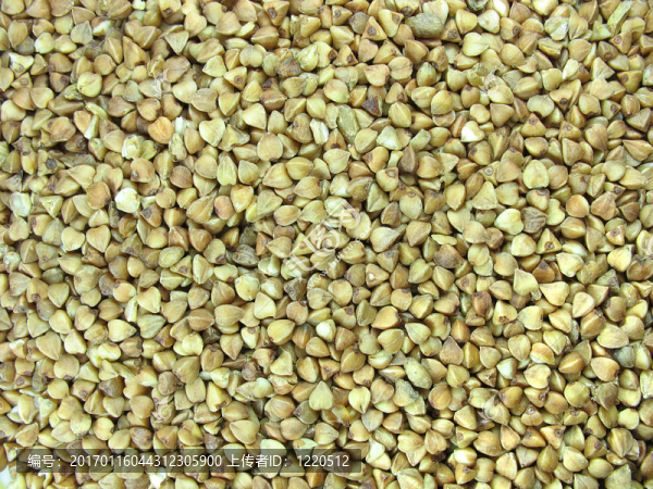 糧食作物近距離蕎麥褐背景