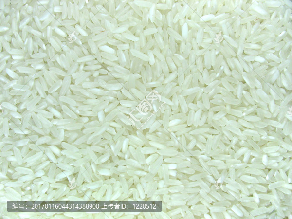 食品關(guān)閉白色有機(jī)水稻背景