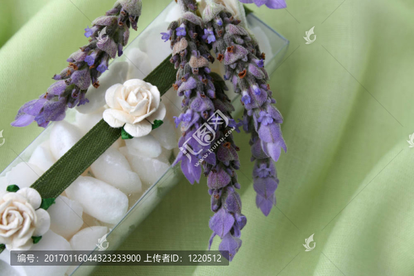 浴晶