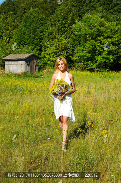 meadow4