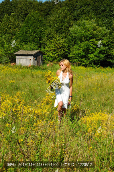 meadow1