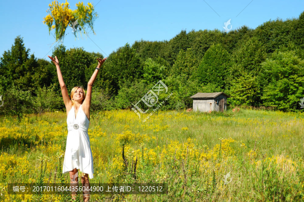 meadow2