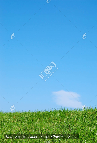 grass4