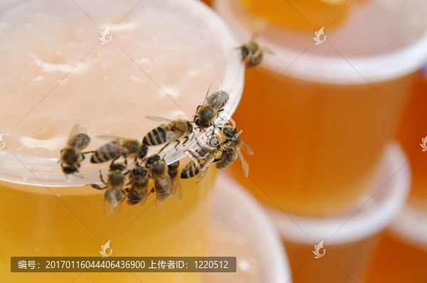 霍尼