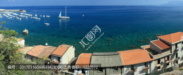 綿棗兒海岸