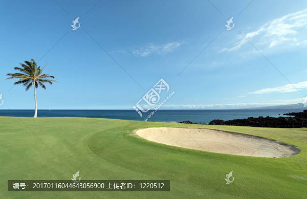 夏威夷高爾夫球場