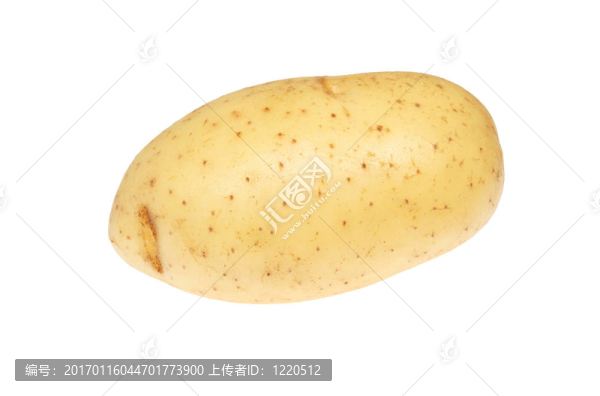 馬鈴薯