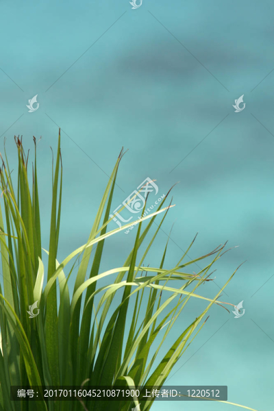 渡嘉敷島；沖繩；日本