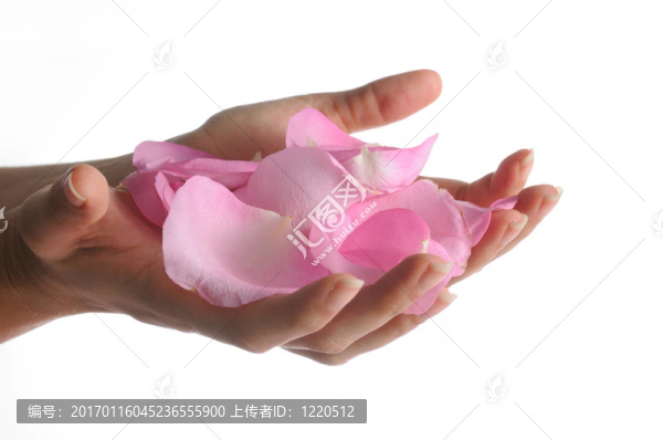 手杯玫瑰花瓣