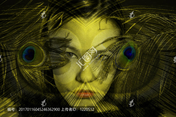 女人的羽毛