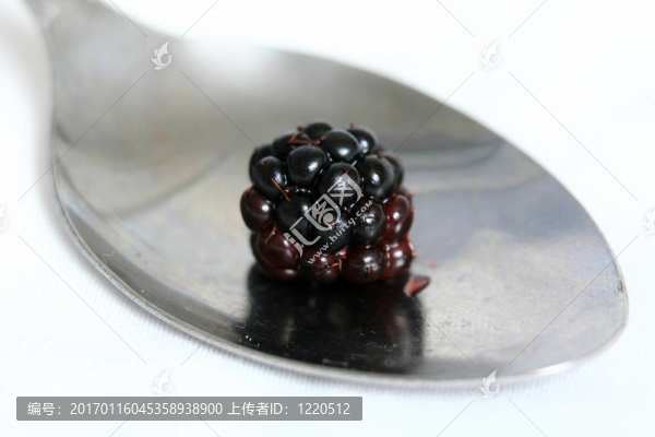 新鮮成熟的黑莓-健康飲食