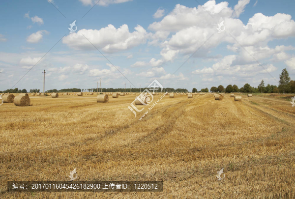 成捆的干草-匯圖網(wǎng) www.fosd68.com 成捆的干草