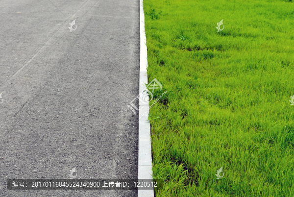 道路草坪