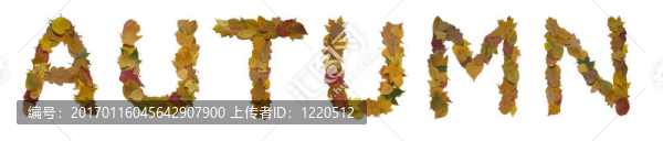 字