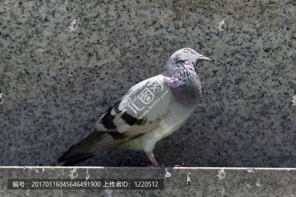 大通公園；札幌市；日本