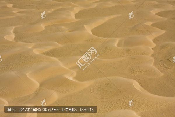 沙丘