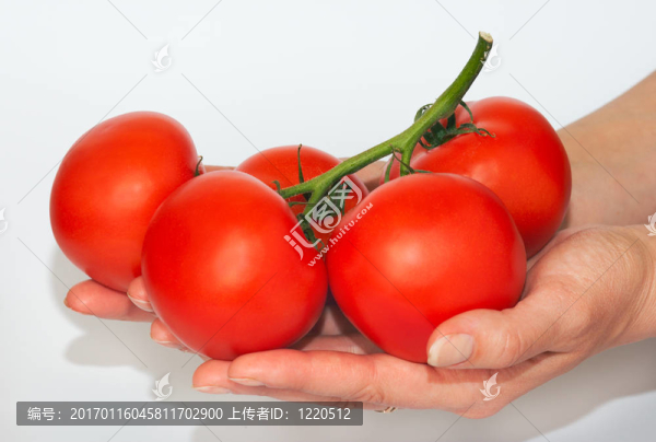 手上的西紅柿