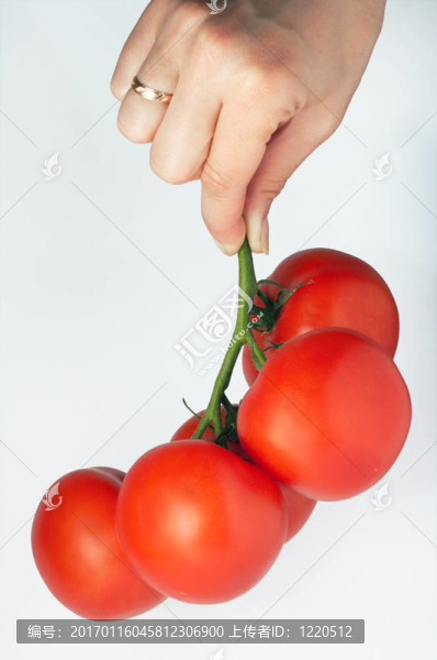 手上的西紅柿