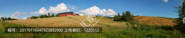 挪威農(nóng)場全景1