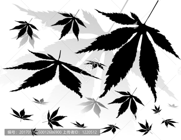 剪影的葉子