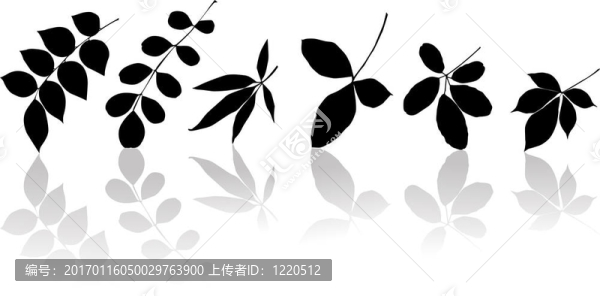 剪影的葉子-匯圖網(wǎng) www.fosd68.com 剪影的葉子