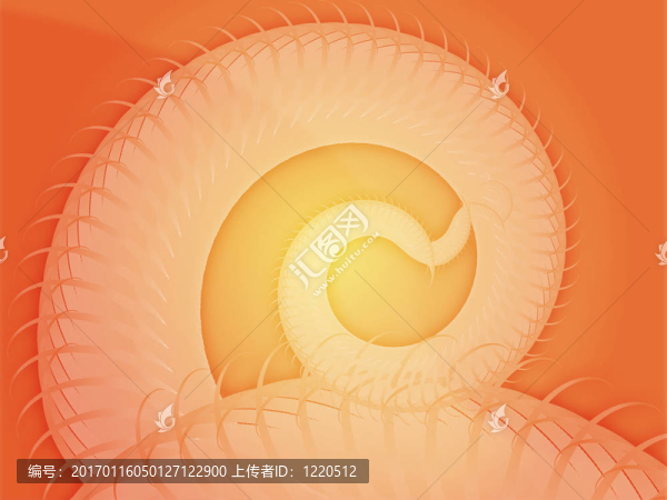 旋轉(zhuǎn)的螺旋葉片摘要