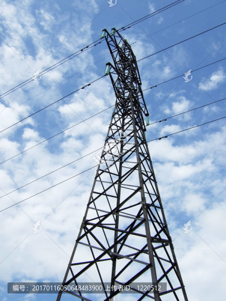 電線桿和電源線