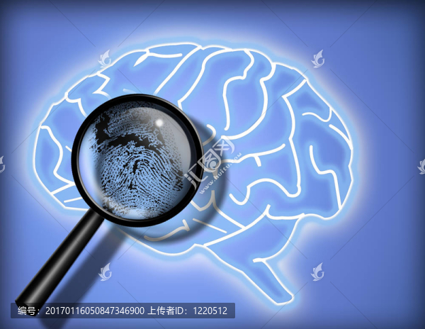腦-人格-身份