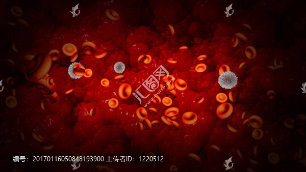 紅細(xì)胞和白細(xì)胞