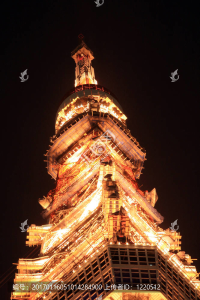 夜間東京塔；東京；日本