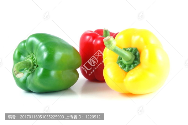 辣椒白