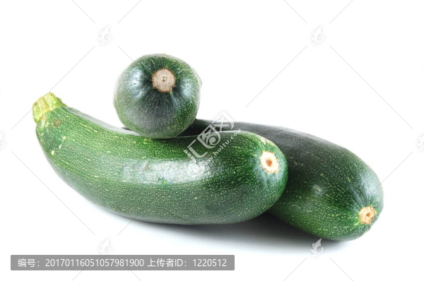 西葫蘆在白