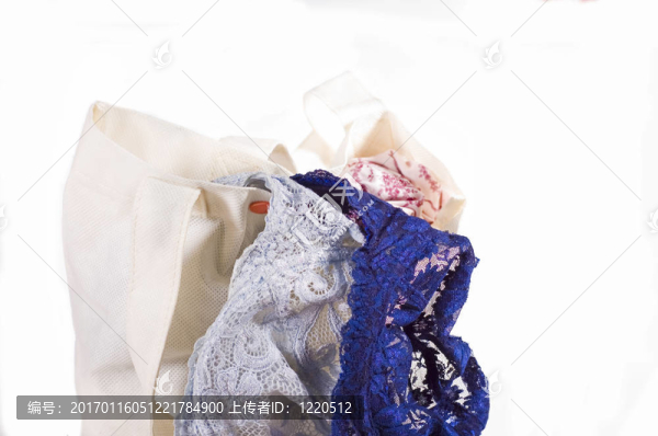 蕾絲胸罩掉了一袋-匯圖網(wǎng) www.fosd68.com 蕾絲胸罩掉了一袋