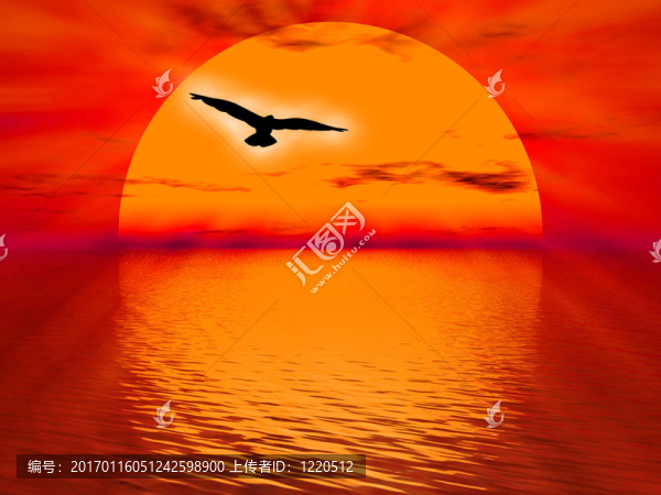 太陽