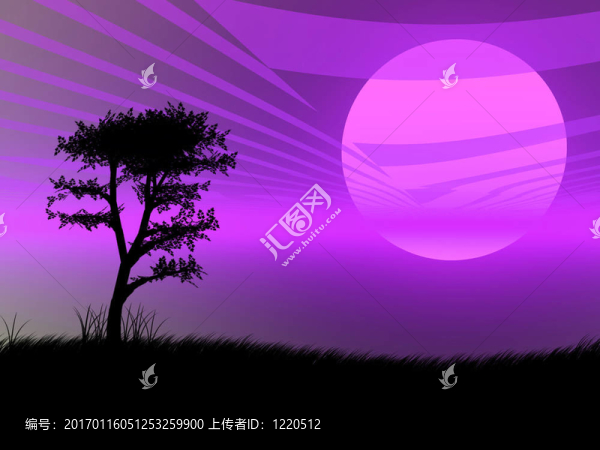 夕陽中的樹