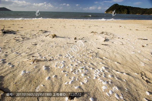 新西蘭-,Abel,Tasman-匯圖網(wǎng) www.fosd68.com 新西蘭-,Abel,Tasman