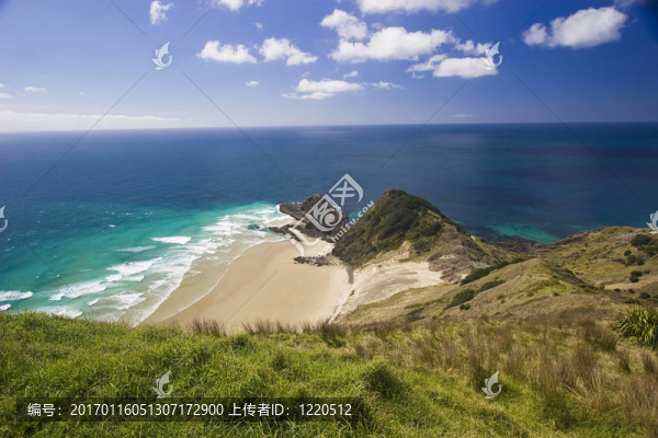 新西蘭-,Cape,Reinga